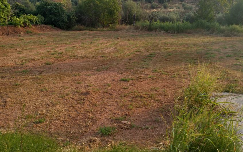 HUERTO DE REGADIO