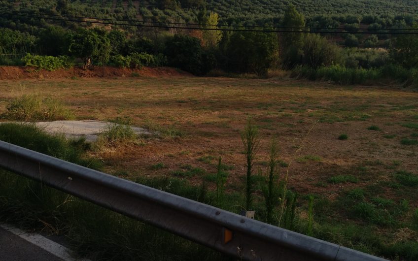 HUERTO DE REGADIO